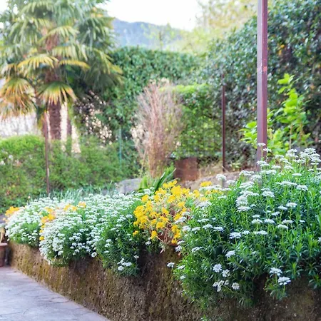 Casa Alice דירה ליירנה