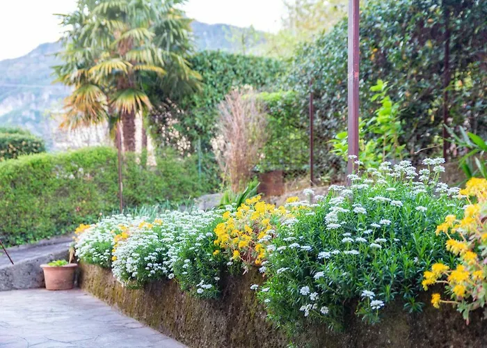 Casa Alice شقة ليرنا